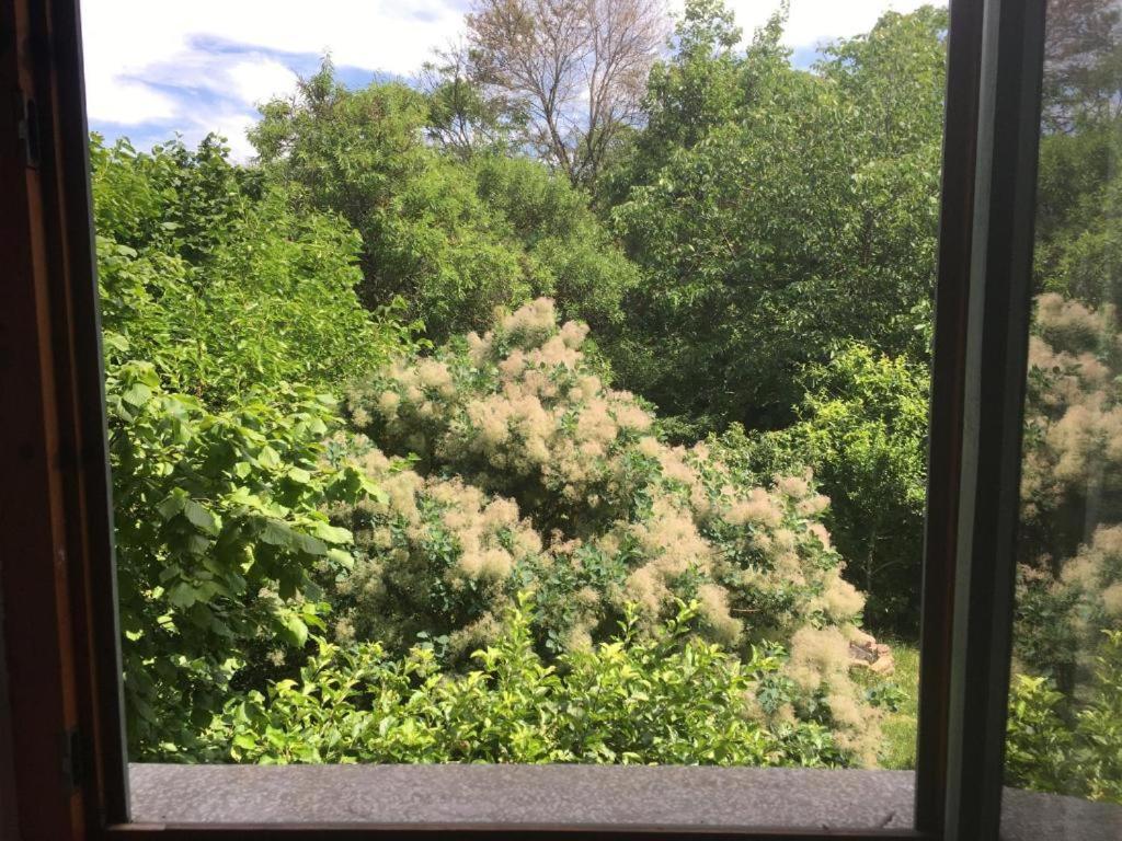 Budapest Garden Hostel Dış mekan fotoğraf